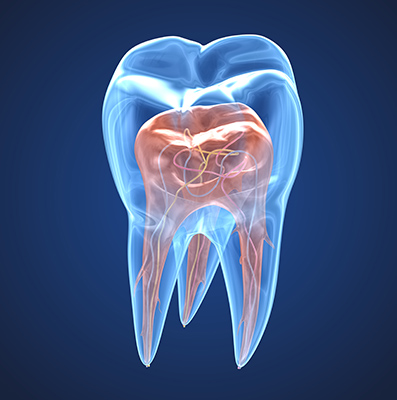 Endodontie - Clinique Dentaire Elysées Ponthieu - Dentiste Paris 8